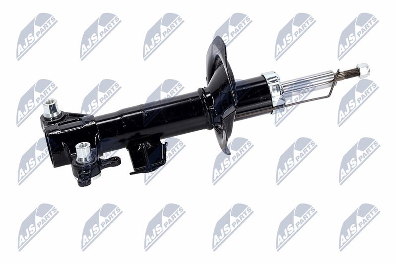 Amort, NTY A-NS-016