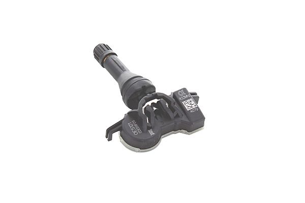 Sensor de ruedas, control presión neumáticos