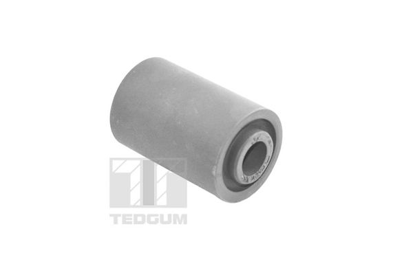 TEDGUM 00208810 Mounting, leaf spring