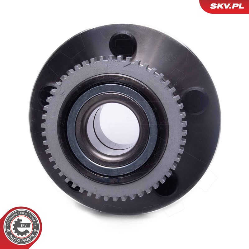 ESEN SKV 29SKV593 Wheel Bearing Kit