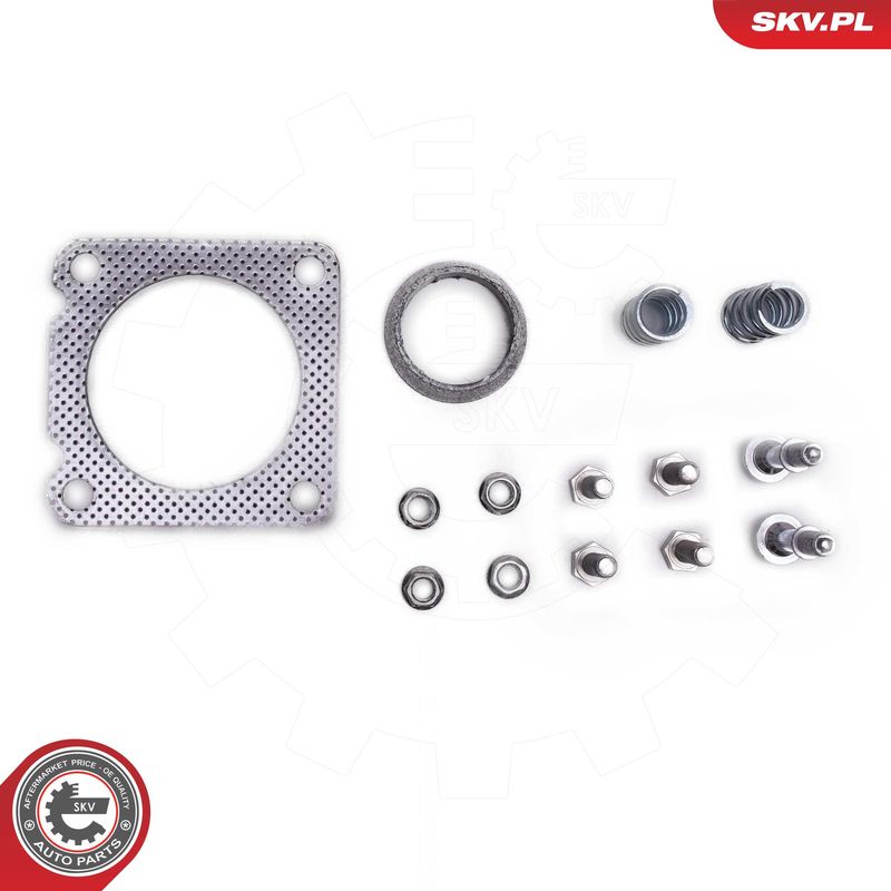 ESEN SKV 62SKV015 Catalytic Converter