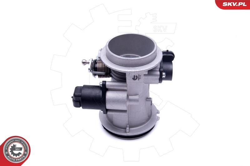 ESEN SKV 12SKV101 Throttle Body