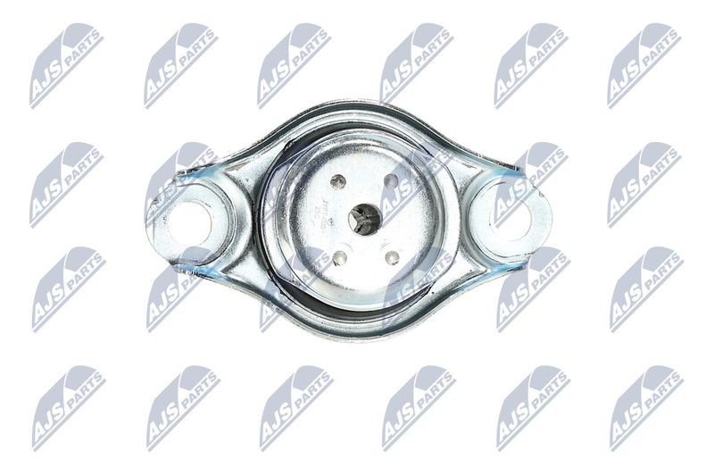 Paigutus, Mootor, NTY ZPS-FT-005