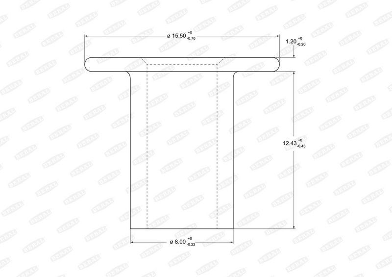 Remvoering klinknagel (8mmx12mm, opak. 100szt.) staal, uitgehold past: DAF 45, F 1000, SB  MAN G, G90  MERCEDES ATEGO, ATEGO 2, LK/LN2 10.79-