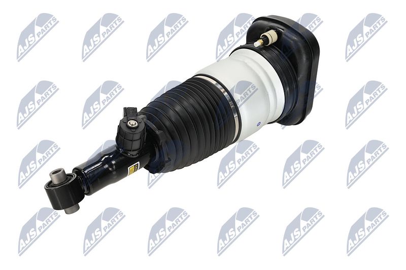 Amort, NTY A-BM-101