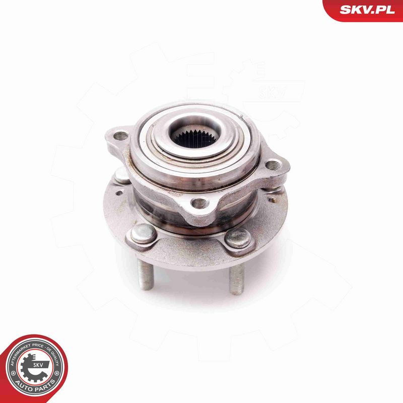 ESEN SKV 29SKV062 Wheel Bearing Kit