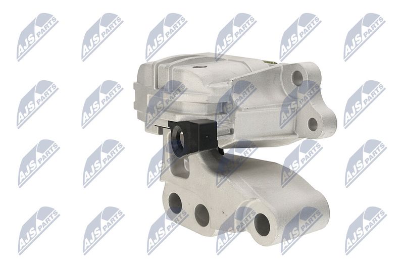 Paigutus, Mootor, NTY ZPS-CH-131