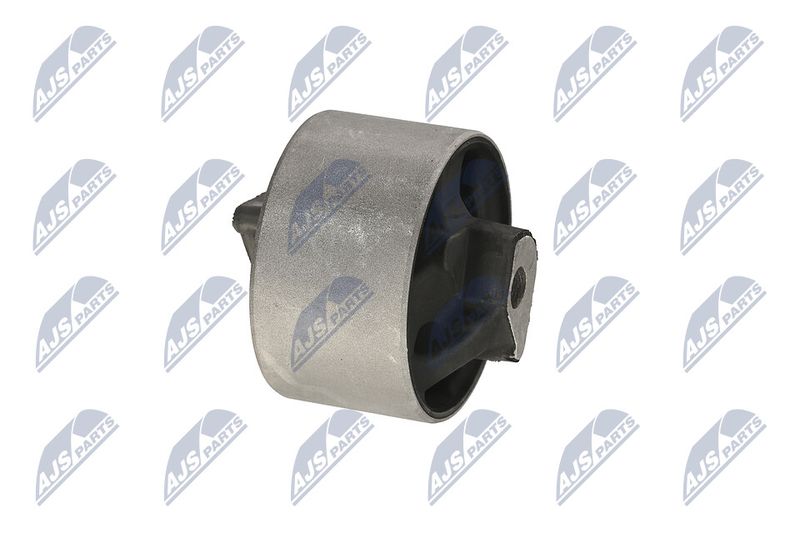 Paigutus, Mootor, NTY ZPS-CH-040