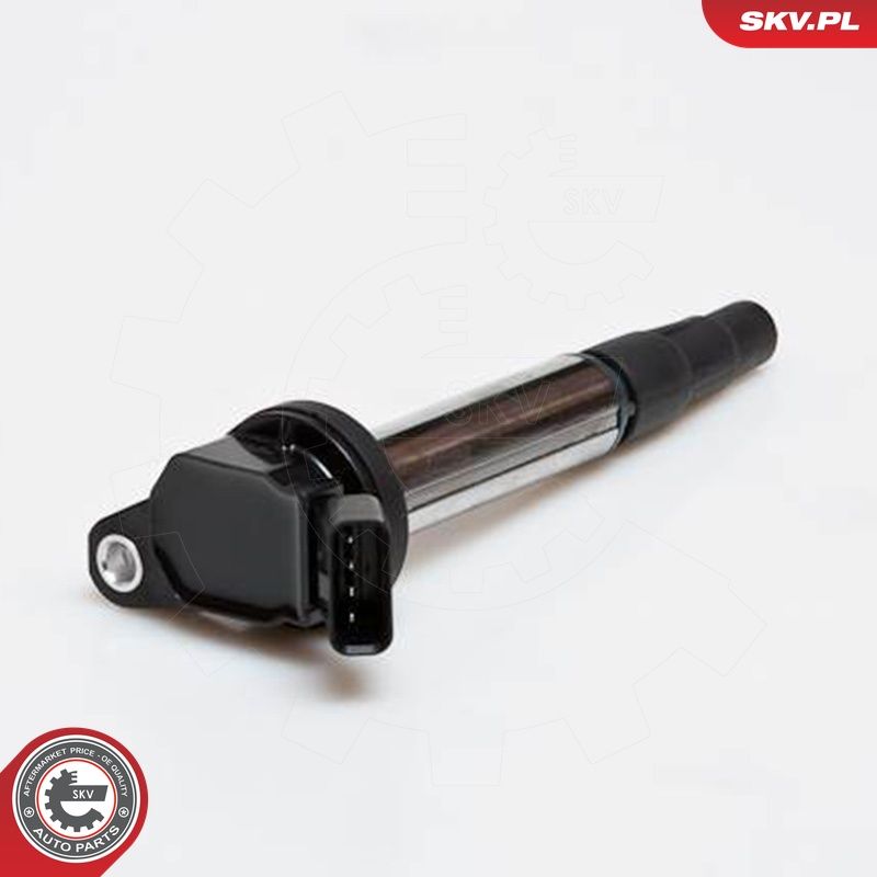 Süütepool, ESEN SKV 03SKV173