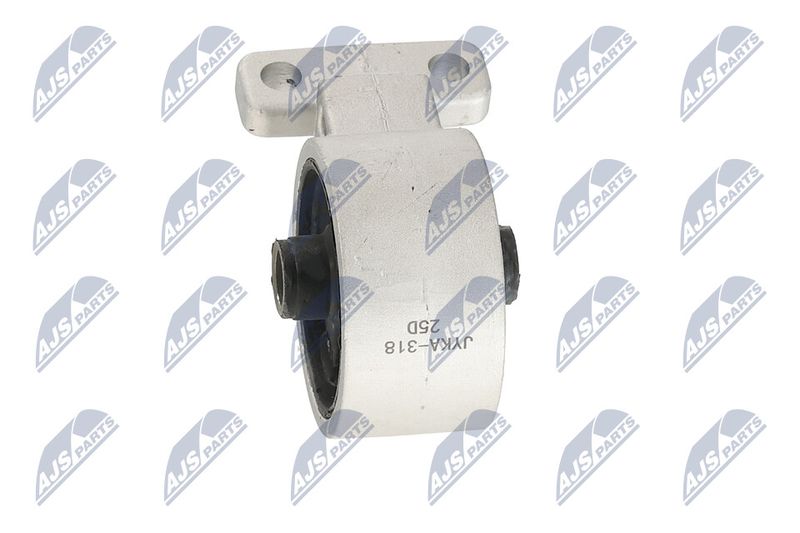 Paigutus, Mootor, NTY ZPS-KA-318