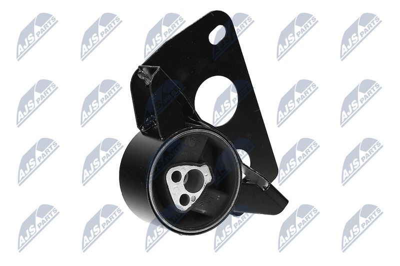 Paigutus, Mootor, NTY ZPS-DW-007