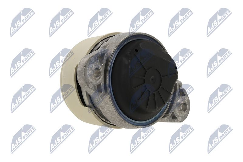 Paigutus, Mootor, NTY ZPS-ME-011