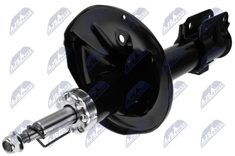 A-MS-021_1-WM.JPG