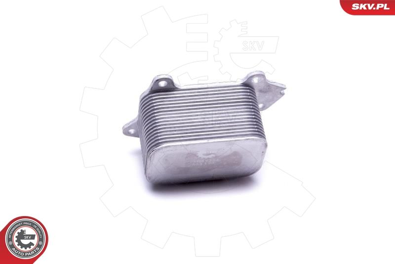 ESEN SKV 31SKV230 Oil Cooler, engine oil