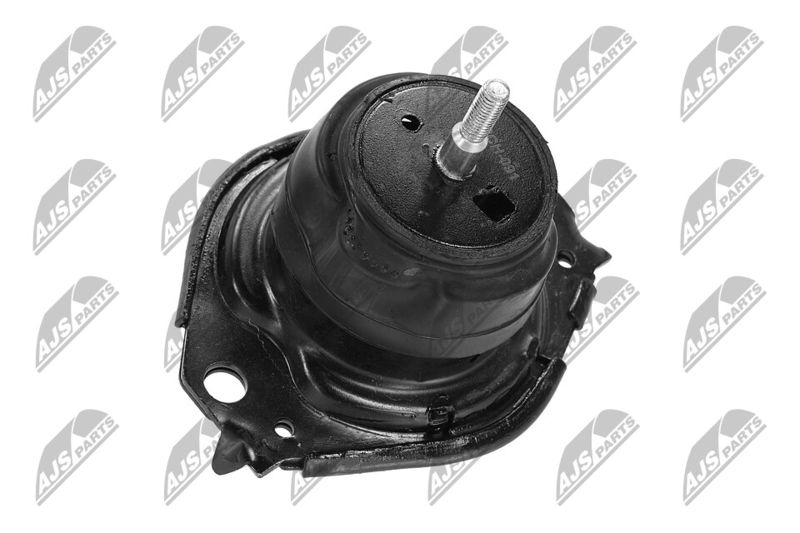 Paigutus, Mootor, NTY ZPS-CH-091