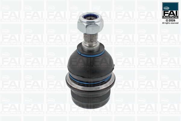 FAI AutoParts Šarnyras / girgždukas