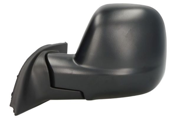 BLIC 5402-21-2194314P Exterior Mirror