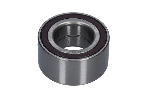 Kavo Parts Rato guolio komplektas