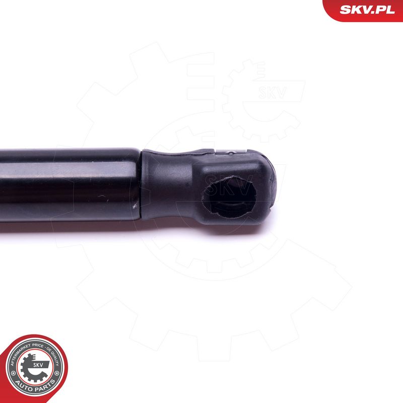 Gaasivedru, pagasi-, veoruum, ESEN SKV 52SKV491