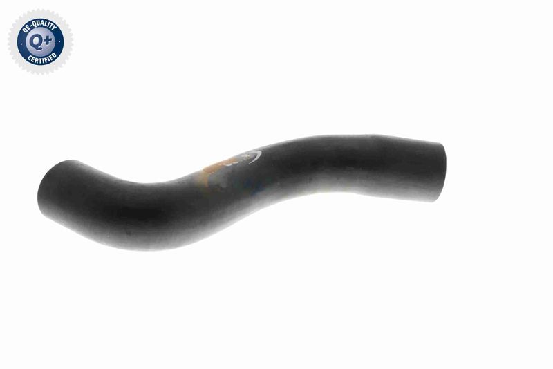 VAICO V30-1619 Radiator Hose