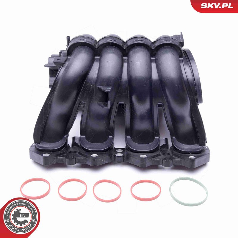 ESEN SKV 49SKV046 Intake Manifold Module