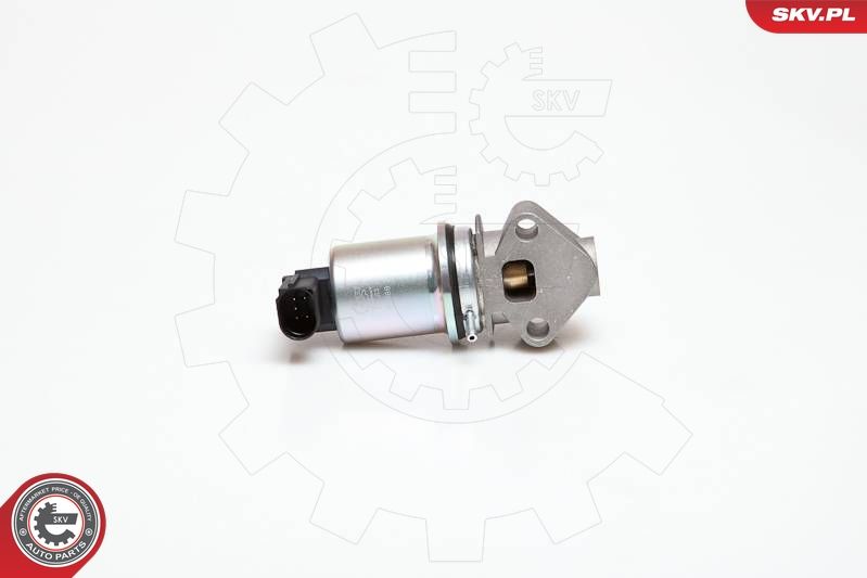 ESEN SKV 14SKV043 EGR Valve