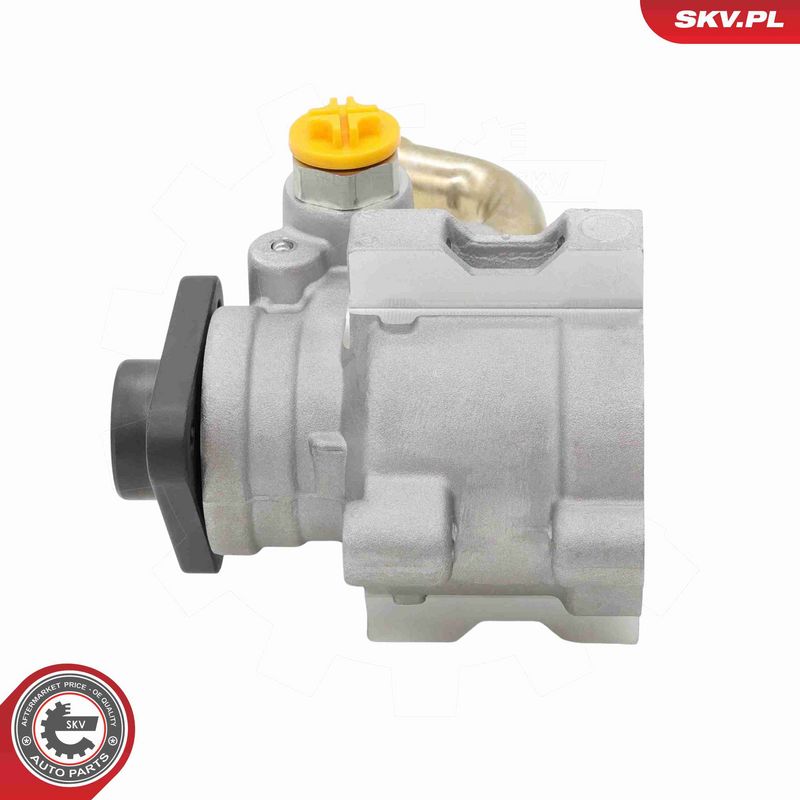 ESEN SKV 10SKV498 Hydraulic Pump, steering