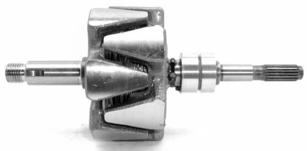 A-656.JPG