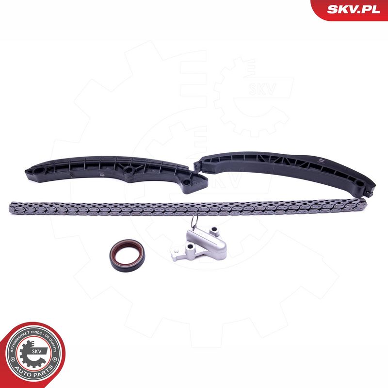 Mootori keti komplekt, ESEN SKV 21SKV236