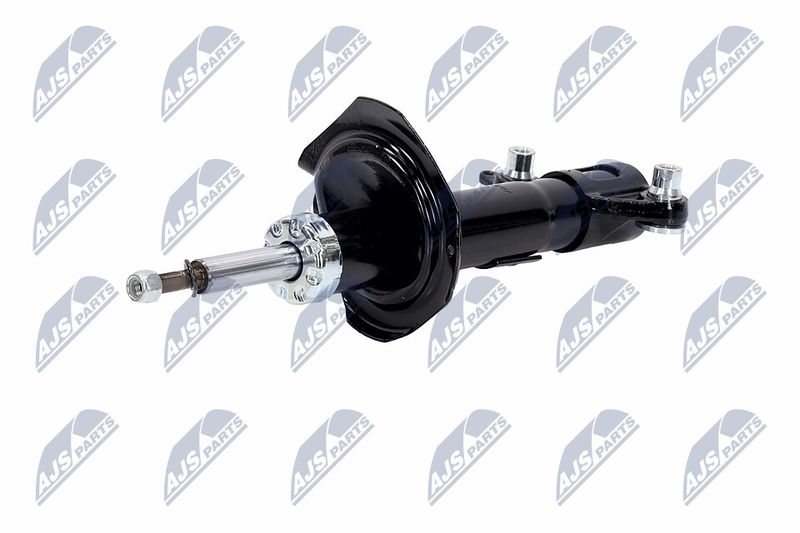 Amort, NTY A-NS-016
