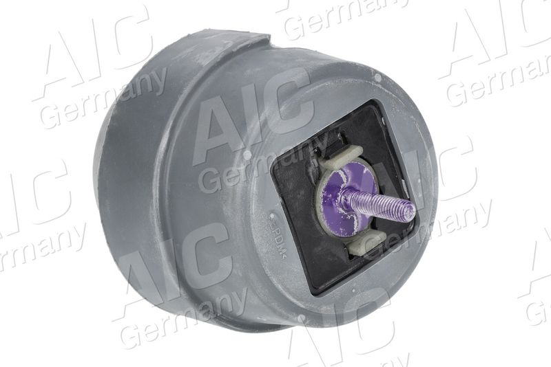 AIC 57982 Опора, двигун