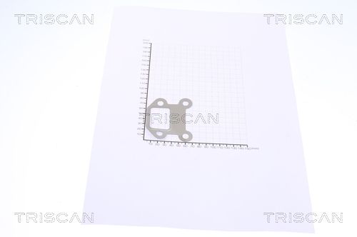 TRIS881399126.JPG