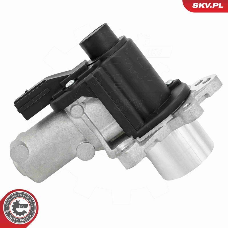 ESEN SKV 14SKV325 EGR Valve