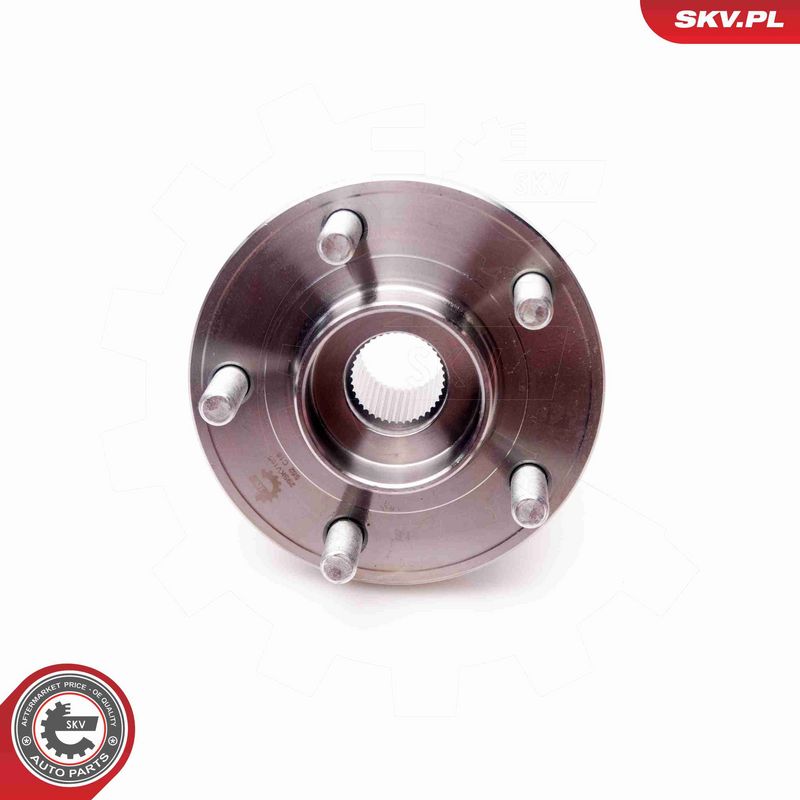 ESEN SKV 29SKV165 Wheel Bearing Kit