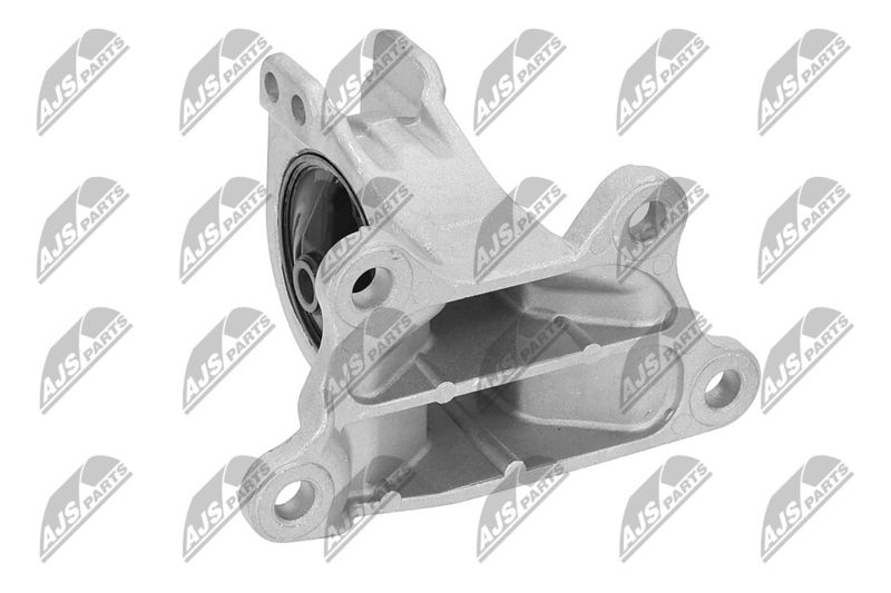 Paigutus, Mootor, NTY ZPS-MS-030