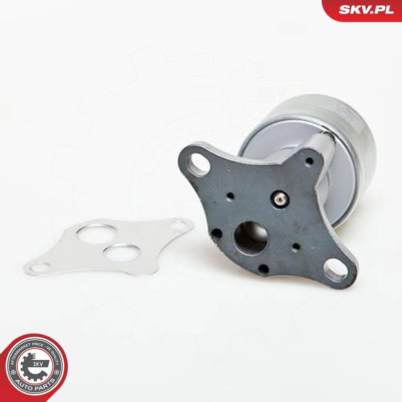 EGR-klapp, ESEN SKV 14SKV037