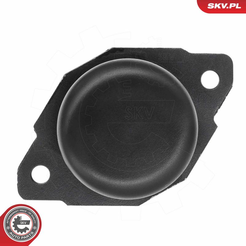 Paigutus, Mootor, ESEN SKV 75SKV115