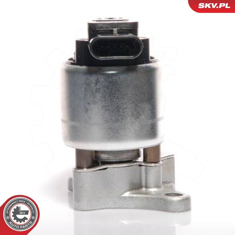EGR-klapp, ESEN SKV 14SKV041