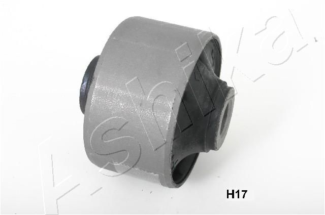 GOM-H17_1.JPG