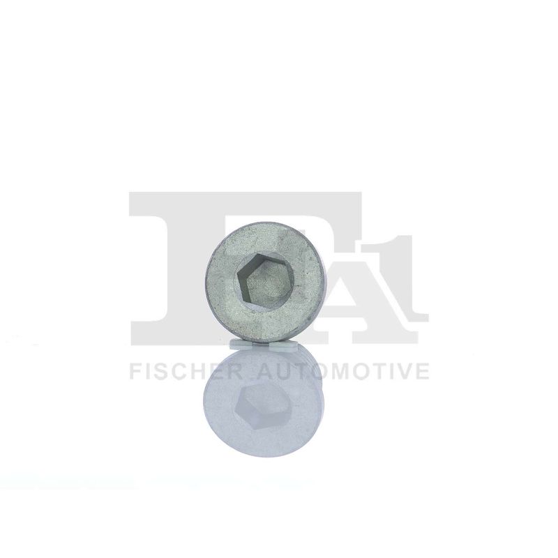 FA1 257.858.001 Screw Plug, oil sump