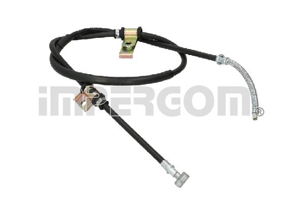 810286.JPG