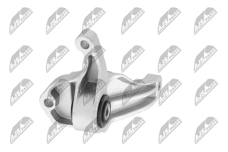 Paigutus, Mootor, NTY ZPS-FR-049