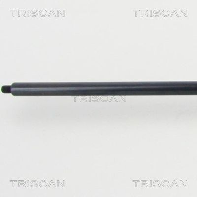 TRIS87101022648200_2.JPG