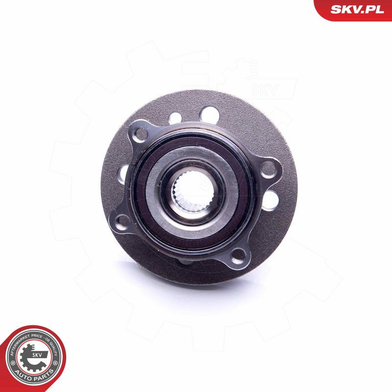 Rattalaagrikomplekt, ESEN SKV 29SKV246