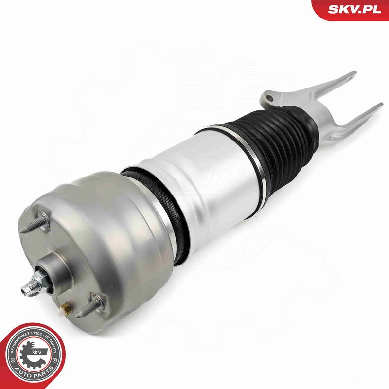 ESEN SKV 58SKV708 Air Suspension Strut
