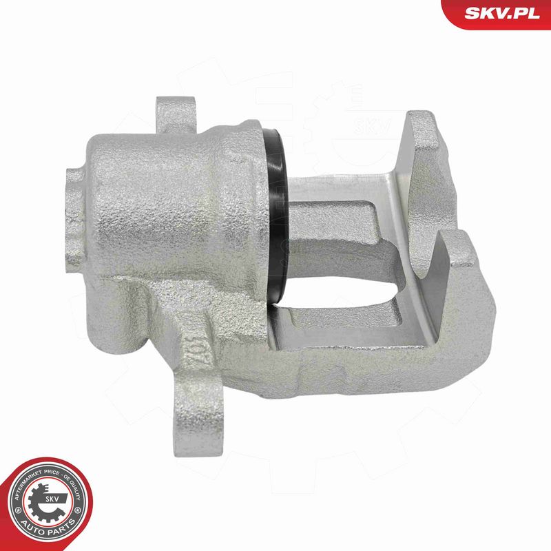 ESEN SKV 79SKV973 Brake Caliper
