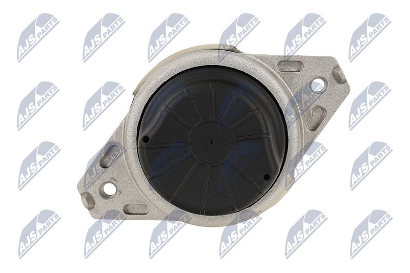 Paigutus, Mootor, NTY ZPS-ME-077