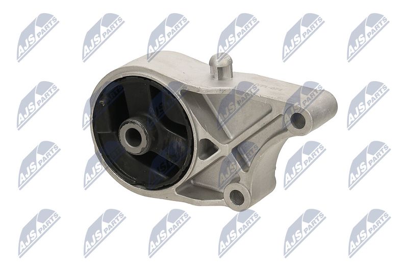 Paigutus, Mootor, NTY ZPS-PL-074
