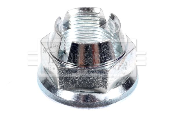 BORG & BECK BHN214 Nut, kingpin