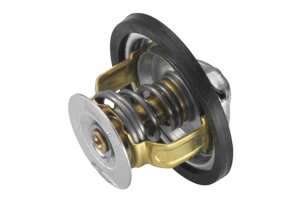 BorgWarner (Wahler) 4162.79D Thermostat, coolant